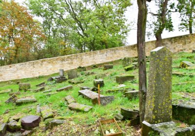 Hřivčice židovský, Omnium, 2020