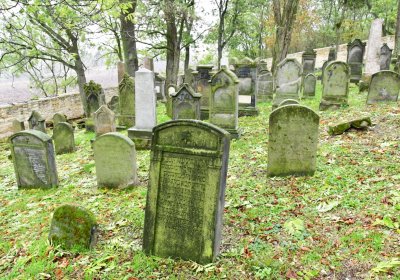 Hřivčice židovský, Omnium, 2020