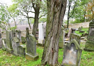 Hřivčice židovský, Omnium, 2020