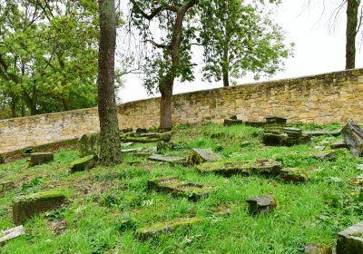 Hřivčice židovský, Omnium, 2020