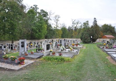 Pátek, Omnium, 2020