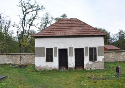 Pátek, Omnium, 2020