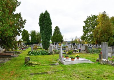 Pátek, Omnium, 2020