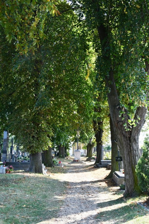 Peruc