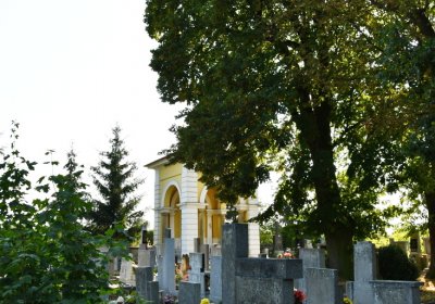 Peruc, Omnium, 2020