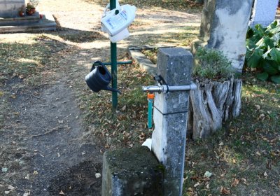 Peruc, Omnium, 2020