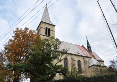 Radonice nad Ohří, Omnium, 2020