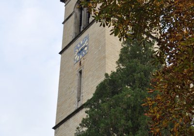 Radonice nad Ohří, Omnium, 2020