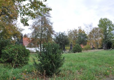 Radonice nad Ohří, Omnium, 2020