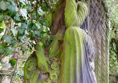 Radonice nad Ohří, Omnium, 2020