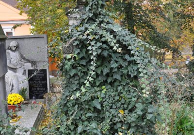 Radonice nad Ohří, Omnium, 2020