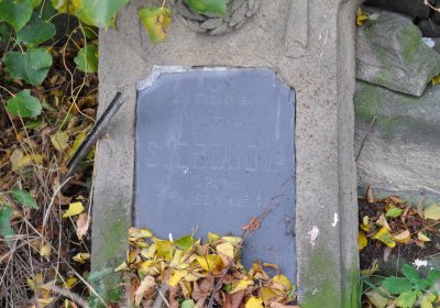 Radonice nad Ohří, Omnium, 2020