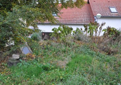 Radonice nad Ohří, Omnium, 2020