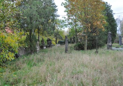 Radonice nad Ohří, Omnium, 2020