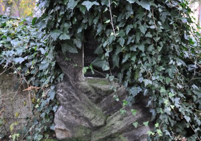 Radonice nad Ohří, Omnium, 2020