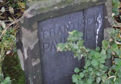 Radonice nad Ohří, Omnium, 2020