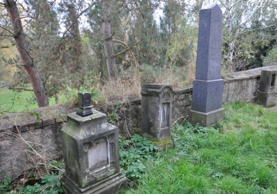 Radonice nad Ohří, Omnium, 2020