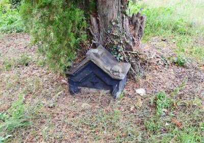 Radonice nad Ohří, Omnium, 2020