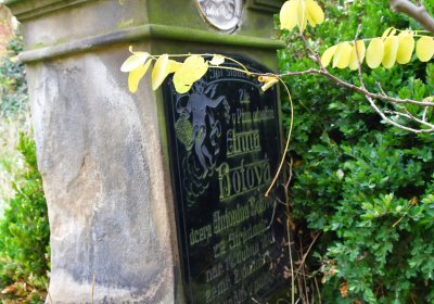 Radonice nad Ohří, Omnium, 2020