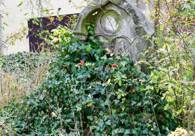 Radonice nad Ohří, Omnium, 2020