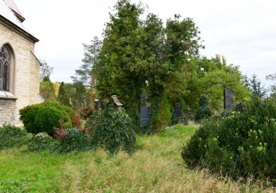 Radonice nad Ohří, Omnium, 2020