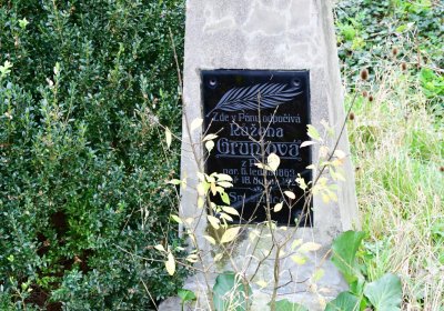 Radonice nad Ohří, Omnium, 2020