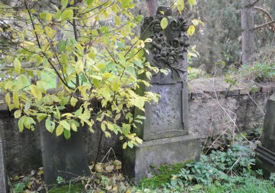 Radonice nad Ohří, Omnium, 2020