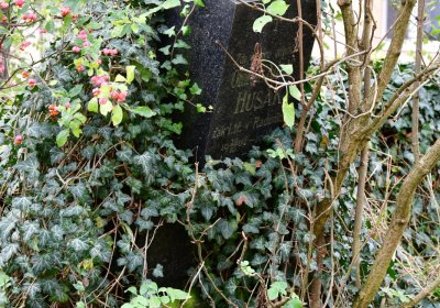 Radonice nad Ohří, Omnium, 2020