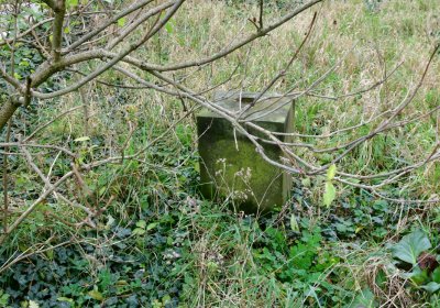 Radonice nad Ohří, Omnium, 2020