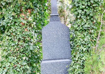 Radonice nad Ohří, Omnium, 2020