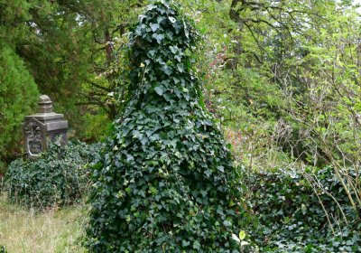 Radonice nad Ohří, Omnium, 2020