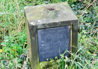 Radonice nad Ohří, Omnium, 2020