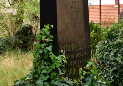 Radonice nad Ohří, Omnium, 2020