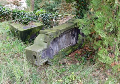 Radonice nad Ohří, Omnium, 2020