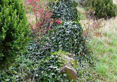 Radonice nad Ohří, Omnium, 2020