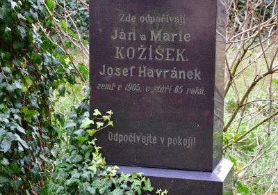 Radonice nad Ohří, Omnium, 2020