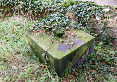 Radonice nad Ohří, Omnium, 2020