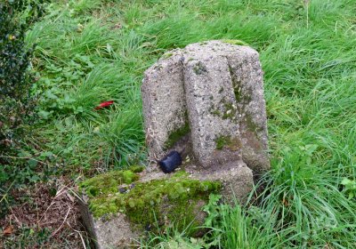 Radonice nad Ohří, Omnium, 2020