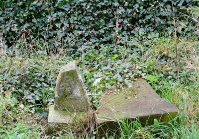 Radonice nad Ohří, Omnium, 2020