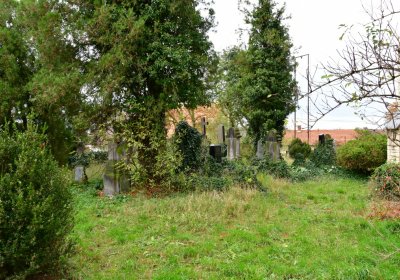 Radonice nad Ohří, Omnium, 2020