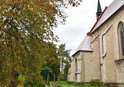 Radonice nad Ohří, Omnium, 2020