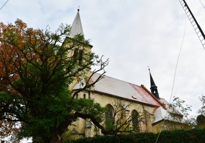 Radonice nad Ohří, Omnium, 2020