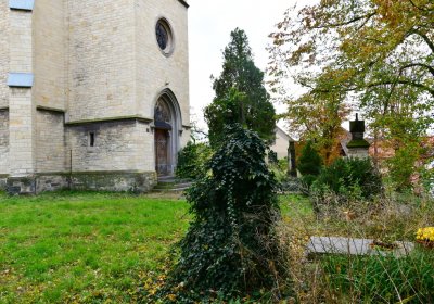 Radonice nad Ohří, Omnium, 2020