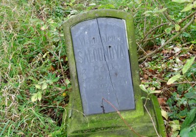 Radonice nad Ohří, Omnium, 2020