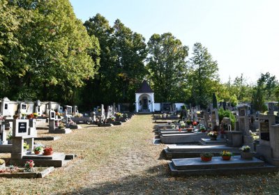 Stradonice, Omnium, 2020