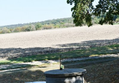 Stradonice, Omnium, 2020