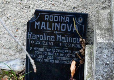 Telce obecní, Omnium, 2020