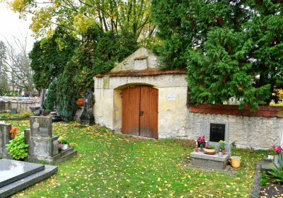 Počedělice, Omnium, 2020