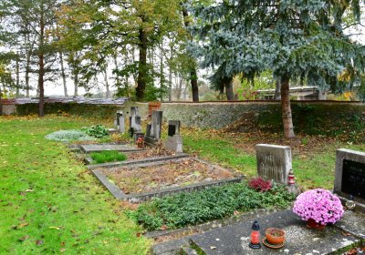 Počedělice, Omnium, 2020