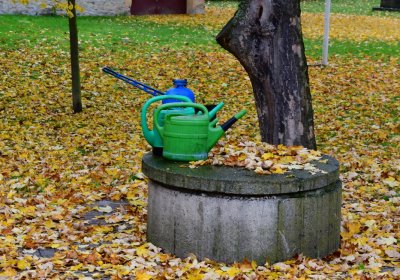 Počedělice, Omnium, 2020